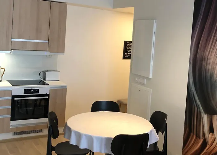 2 Rooms, In Front Of The Sea, Free Parking Daire Oulu